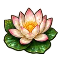 Marsh lotus